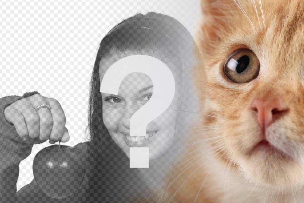 Aggiungi questo gattino biondo alle tue foto e personalizzarli con testo libero e..