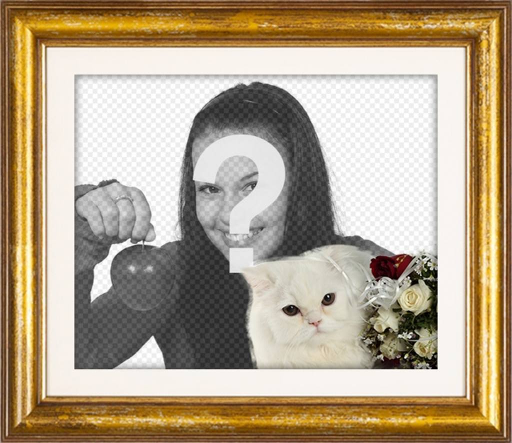 Cornice oro con un gatto persiano bianco e rose rosse e bianche per mettere la tua foto amore con il vostro fidanzato o..