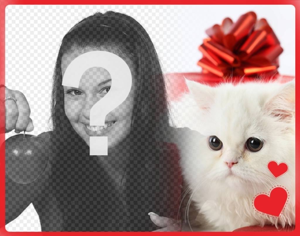 Cartolina romantica con il bianco gattino persiano con il cuore di fronte a una confezione regalo e la foto si carica..