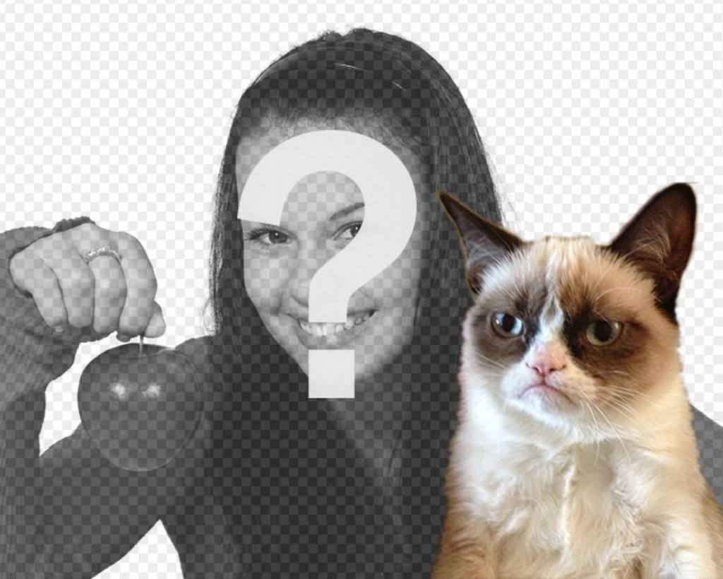 Fotomontaggio con Grumpry gatto, meme che è diventato famoso in tutto il..