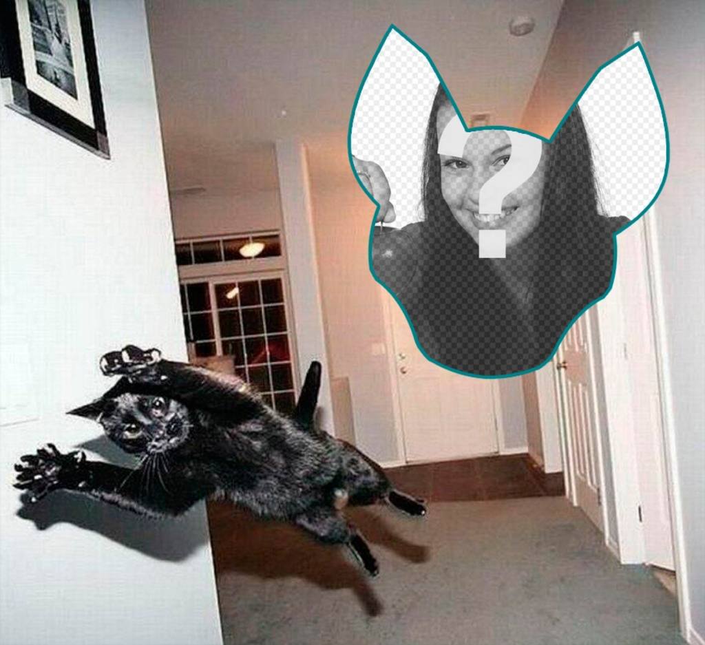 Fotomontaggio con un gatto saltando come se fosse unesplosione. ..