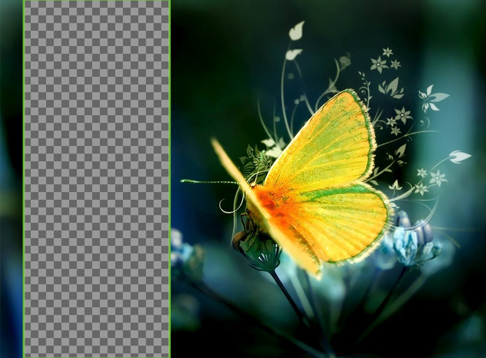 Sfondo per due foto con una farfalla gialla arroccato su un fiore. ..