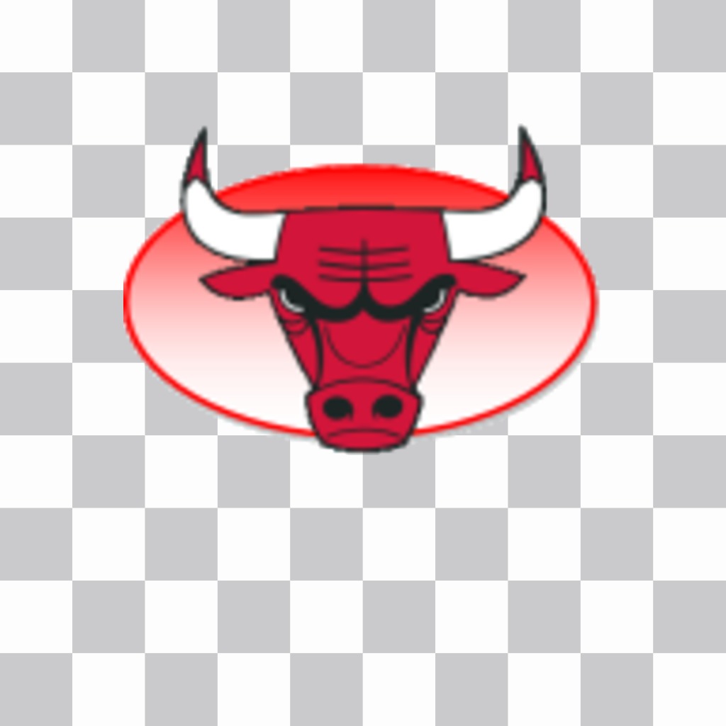 Adesivo con il logo dei Chicago Bulls. ..