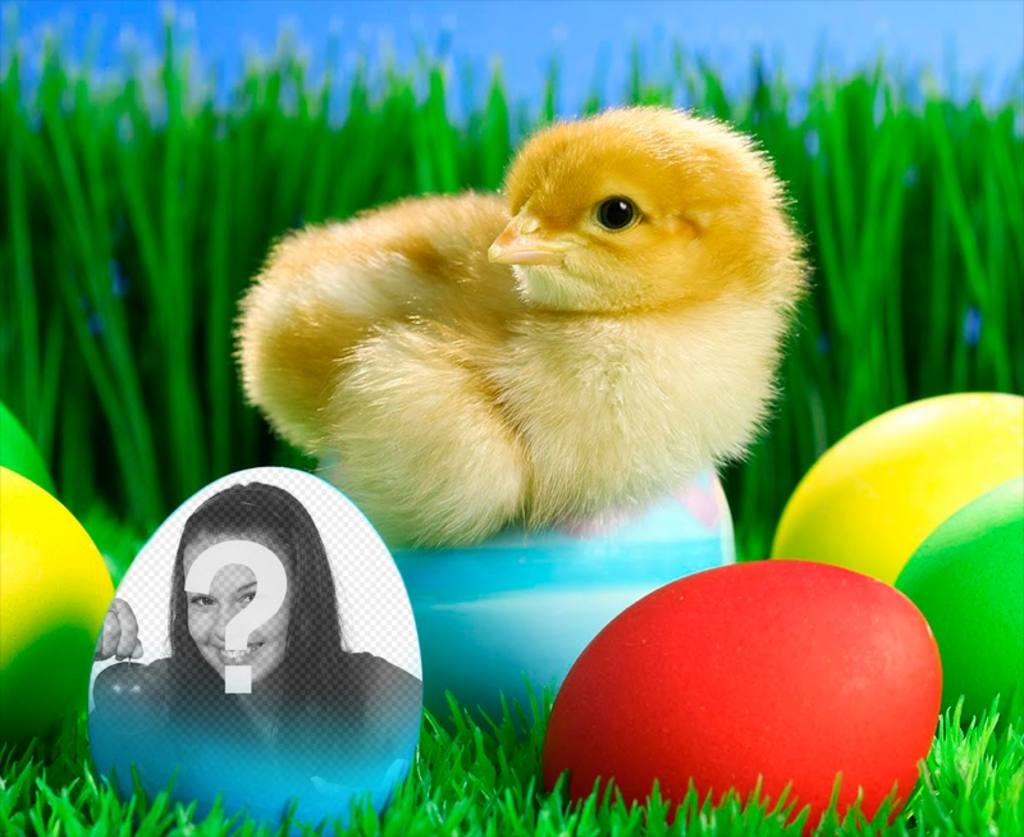 Metti la tua foto in questa Pasqua blu uovo ..