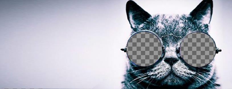 Personalizzabile foto di copertina per Facebook con un gatto con occhiali da sole ..