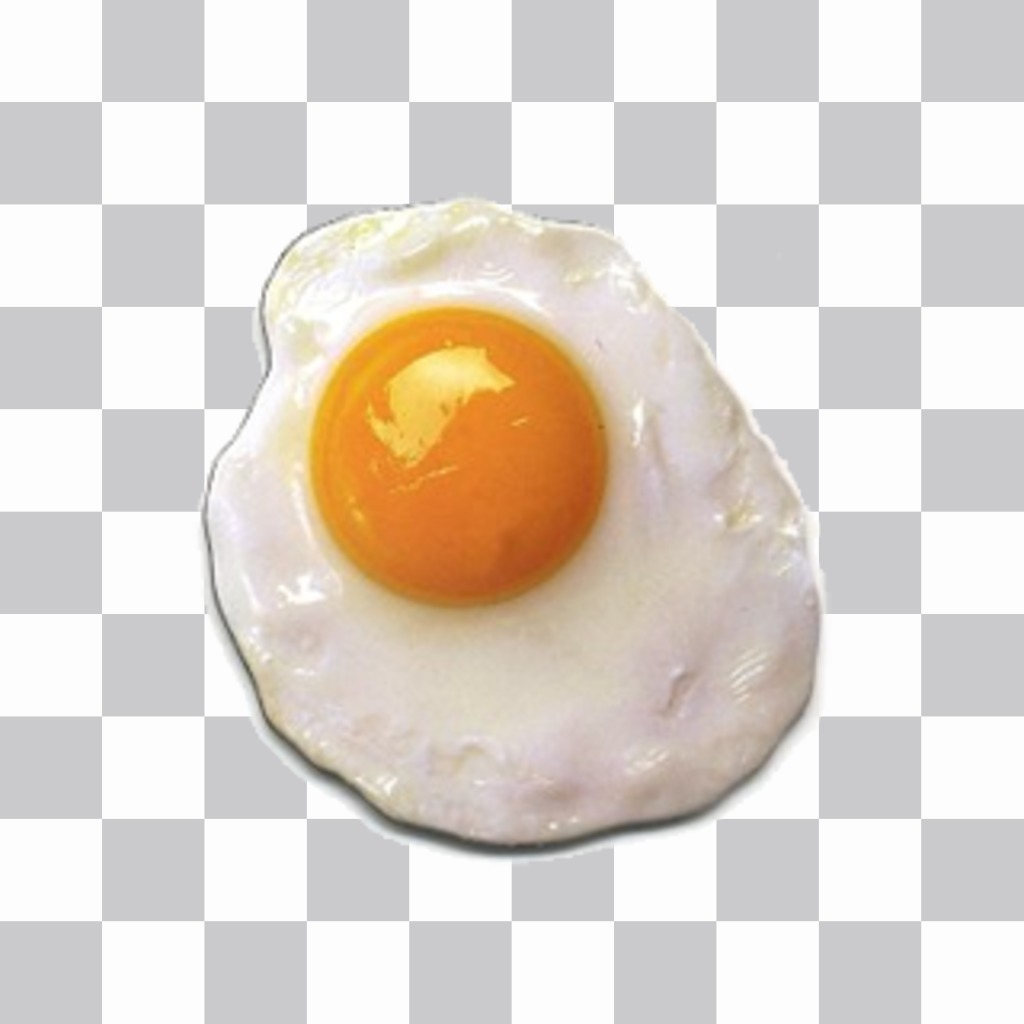 Adesivo Fried per mettere su le immagini senza la necessità di scaricare alcun software uovo. ..
