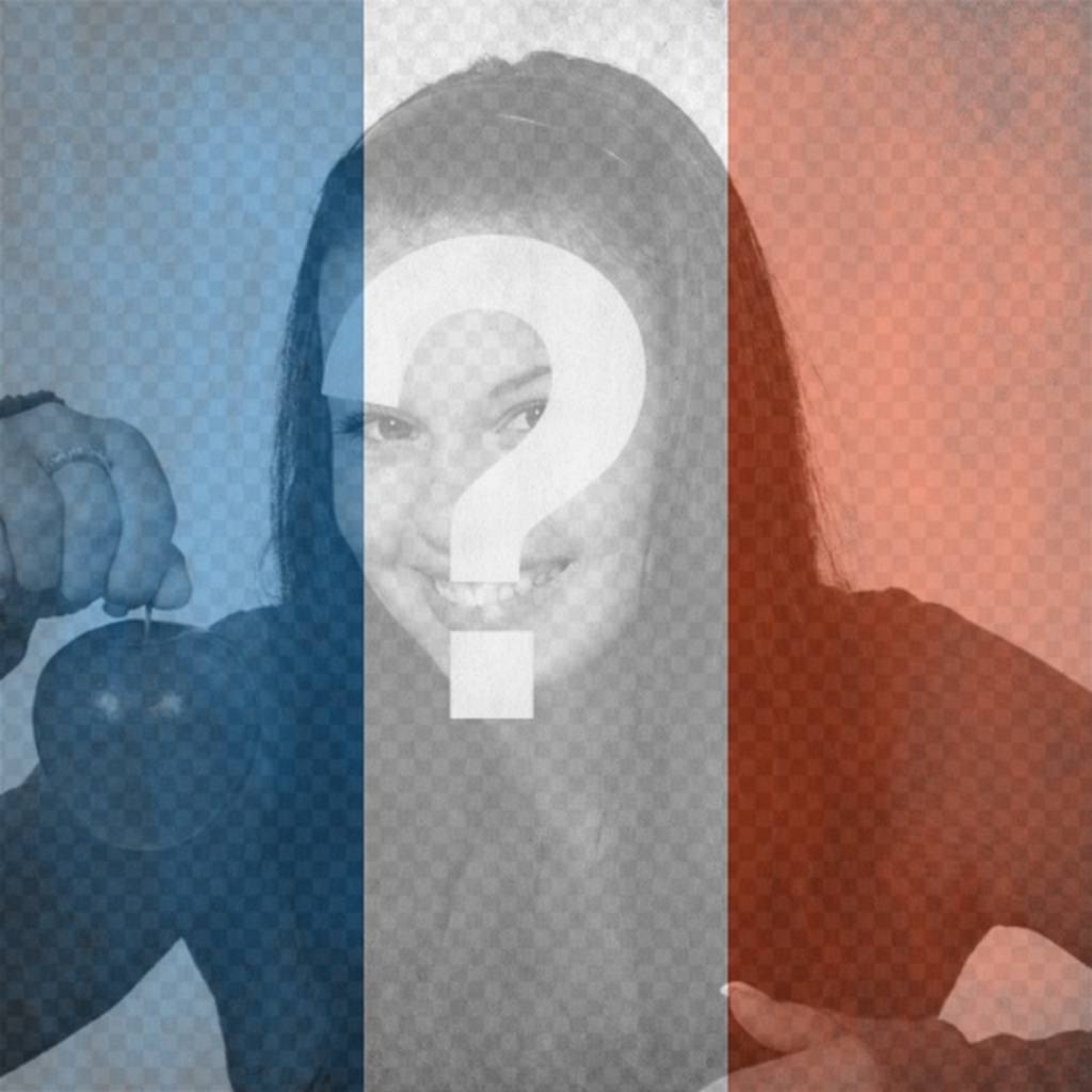 Bandiera della Repubblica francese per mettere nella foto Invia un messaggio facebook o twitter. ..