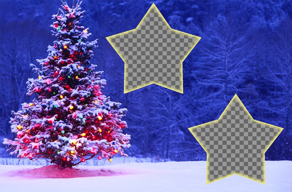 Collage di Natale con un albero di mettere due foto. ..