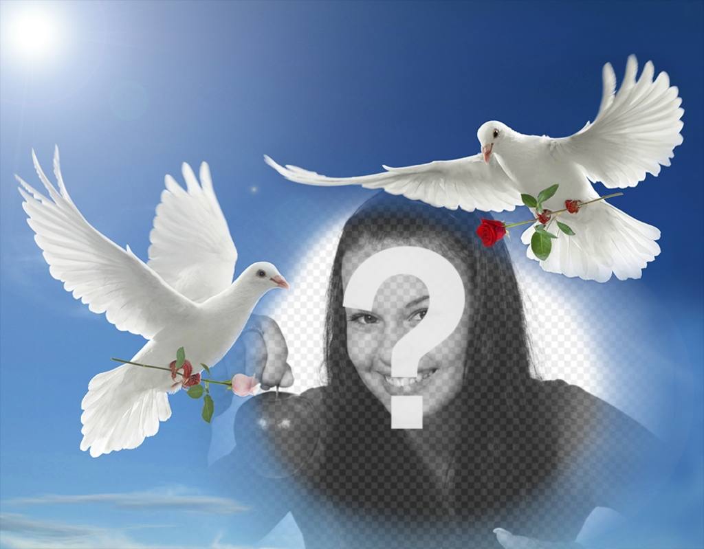Effetto Foto di pace con due colombe bianche che volano ..