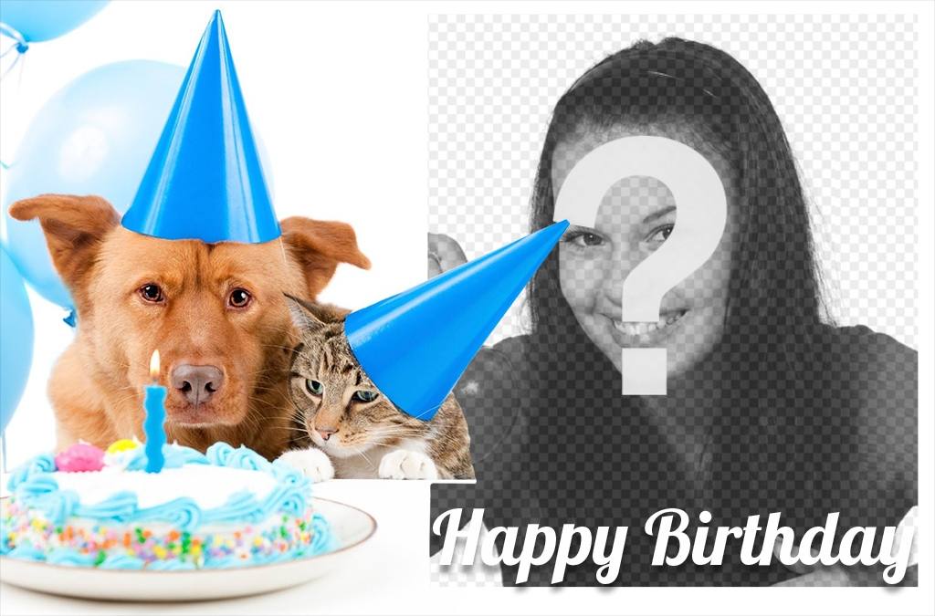 Carta di compleanno dolce con un cane e un gatto per una foto ..