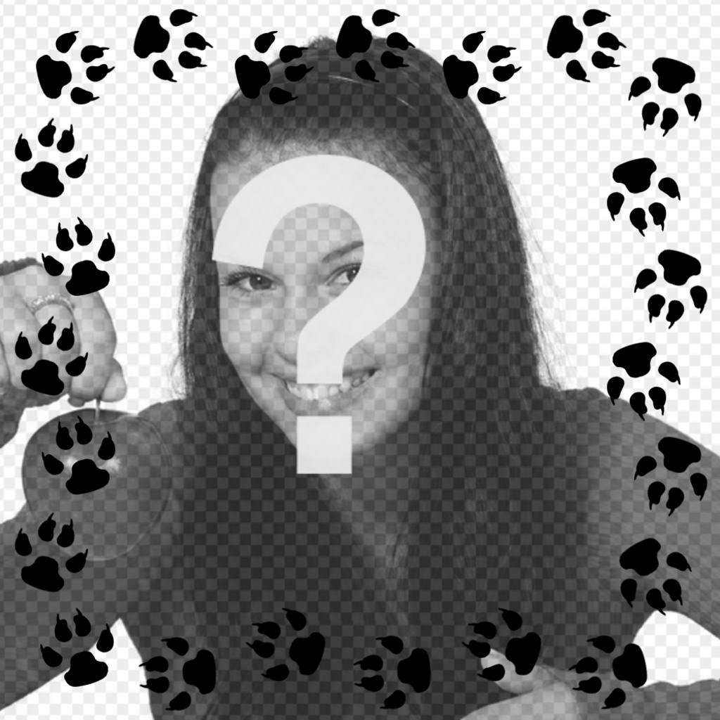 impronte di gatto intorno le immagini ..