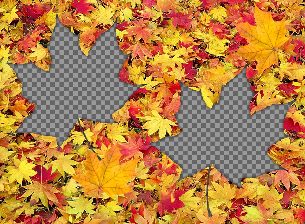 Nascondere sotto le foglie cadute con questo effetto per due foto ..