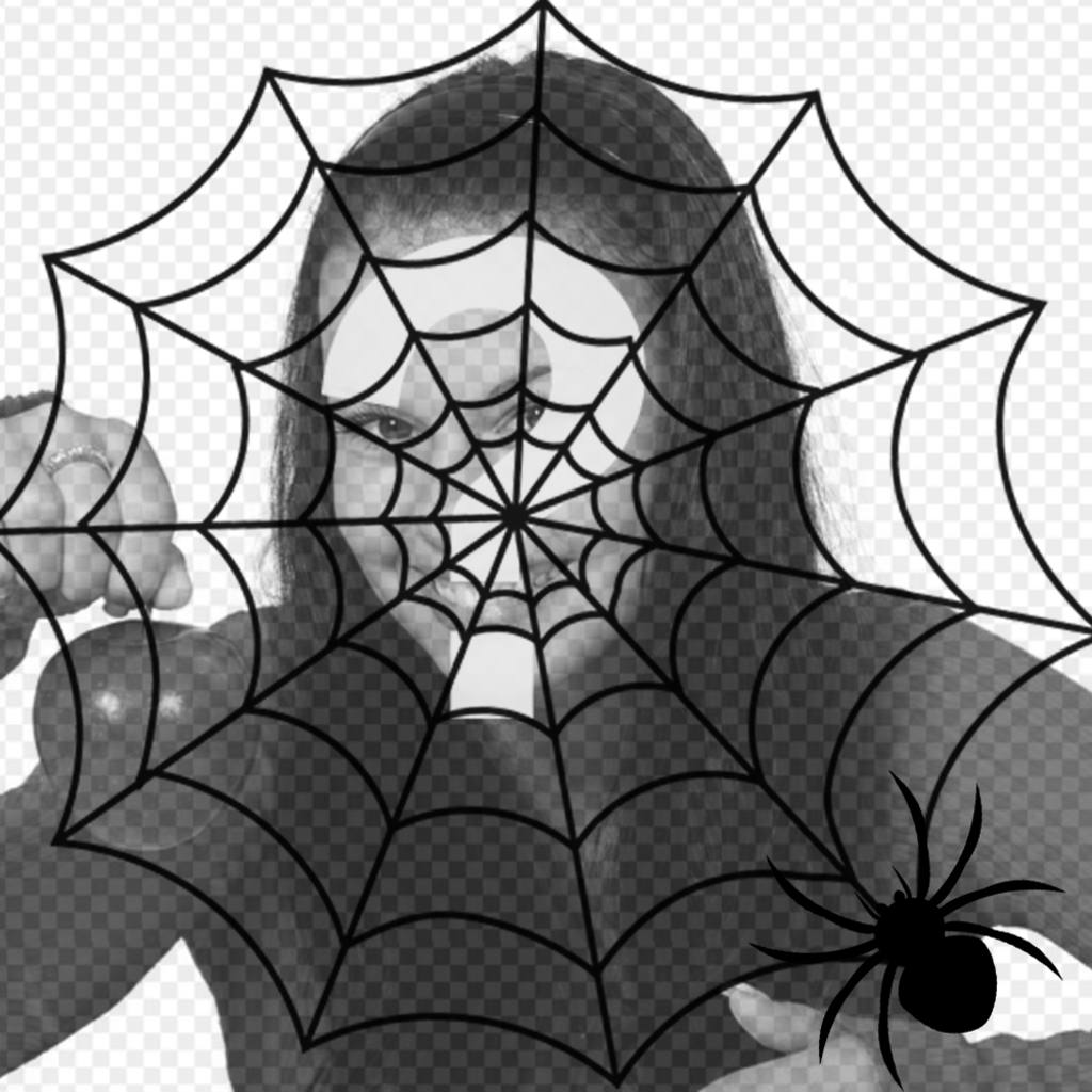 Metti un ragno di ragni e un ragno nella tua foto, effetto di terrore ..
